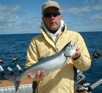 Coho Salmon