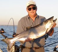 King Salmon